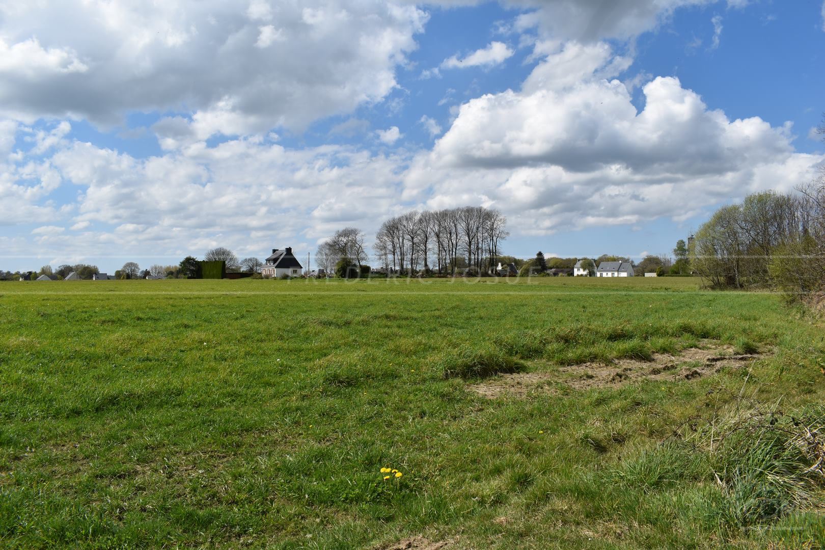 TERRAIN AGRICOLE - PROCHE CENTRE VILLE - IDEAL POUR CHEVAUX - EXPOSITION SUD - ACCES FACILE photo 3